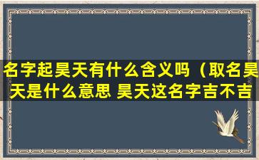 名字起昊天有什么含义吗（取名昊天是什么意思 昊天这名字吉不吉利）